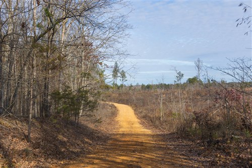 Lightning Ridge Tract 30