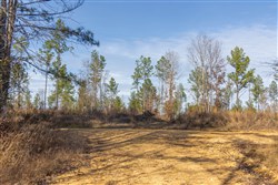 Lightning Ridge Tract 30