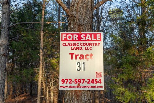 Lightning Ridge Tract 31