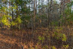 Lightning Ridge Tract 31