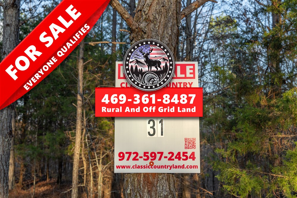 Lightning Ridge Tract 31 - Primary