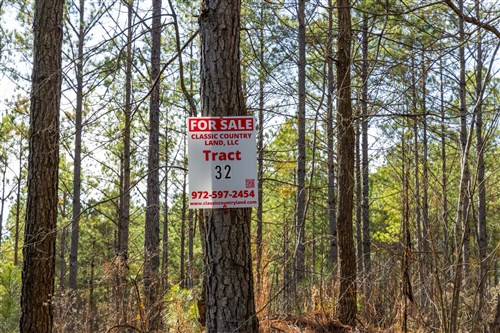 Lightning Ridge Tract 32