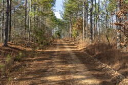 Lightning Ridge Tract 32