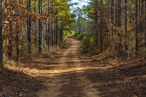 Lightning Ridge Tract 32