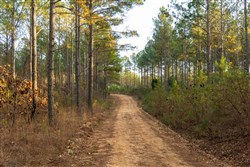 Lightning Ridge Tract 33