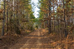 Lightning Ridge Tract 33