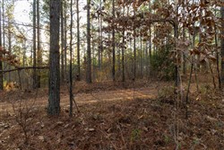 Lightning Ridge Tract 33