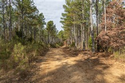 Lightning Ridge Tract 34