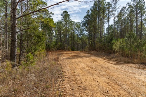 Lightning Ridge Tract 34