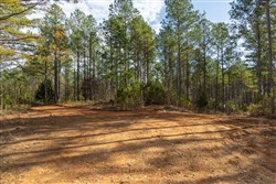 Lightning Ridge Tract 34