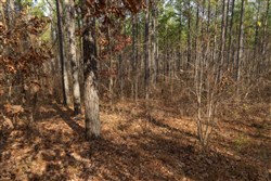 Lightning Ridge Tract 34