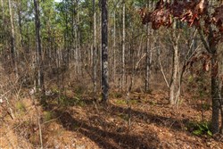 Lightning Ridge Tract 34