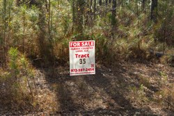 Lightning Ridge Tract 35