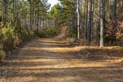 Lightning Ridge Tract 35