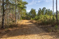 Lightning Ridge Tract 35