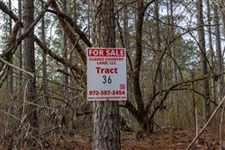 Lightning Ridge Tract 36