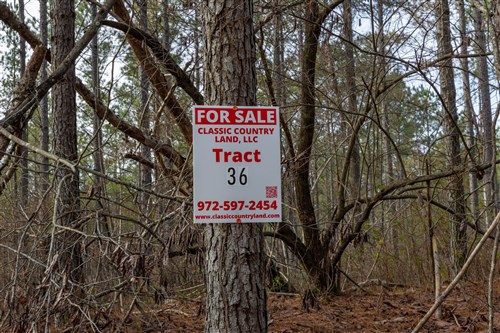 Lightning Ridge Tract 36