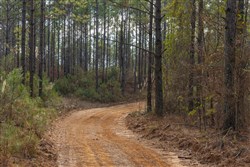 Lightning Ridge Tract 36