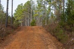 Lightning Ridge Tract 36