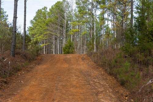 Lightning Ridge Tract 36