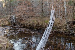 Lightning Ridge Tract 36