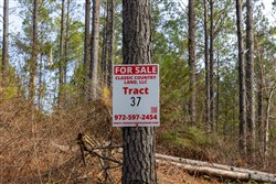 Lightning Ridge Tract 37