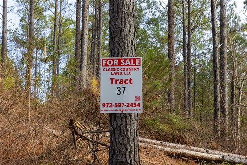 Lightning Ridge Tract 37