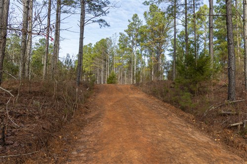 Lightning Ridge Tract 37