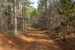 Lightning Ridge Tract 38