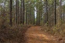 Lightning Ridge Tract 38