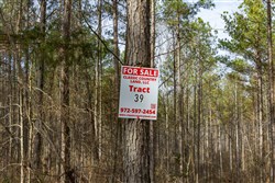 Lightning Ridge Tract 39