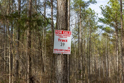 Lightning Ridge Tract 39