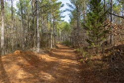 Lightning Ridge Tract 39