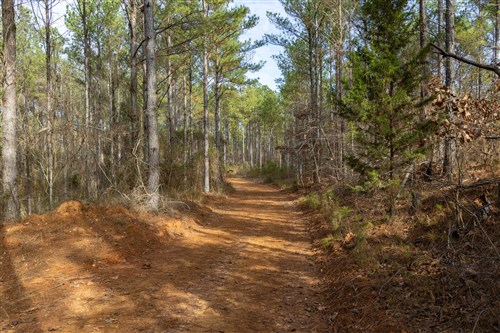 Lightning Ridge Tract 39