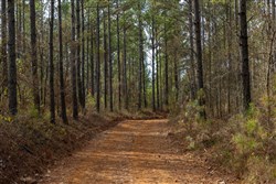 Lightning Ridge Tract 39