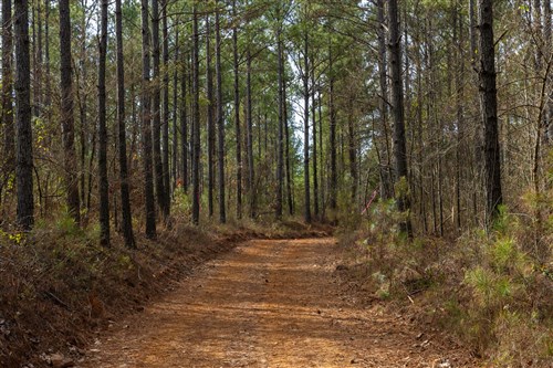 Lightning Ridge Tract 39