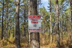 Lightning Ridge Tract 40