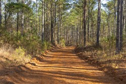 Lightning Ridge Tract 40