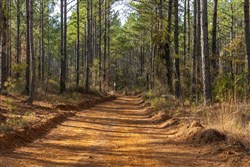 Lightning Ridge Tract 40