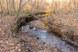 Lightning Ridge Tract 40