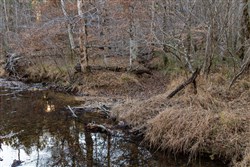 Lightning Ridge Tract 40