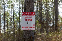 Lightning Ridge Tract 41