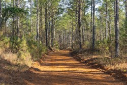 Lightning Ridge Tract 41