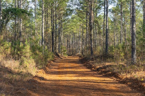 Lightning Ridge Tract 41