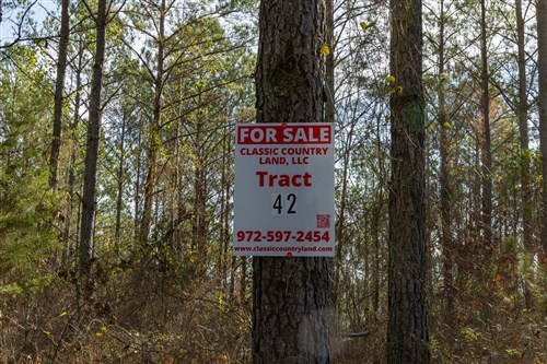 Lightning Ridge Tract 42