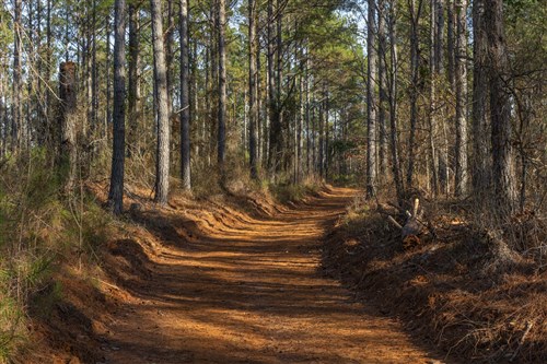 Lightning Ridge Tract 42