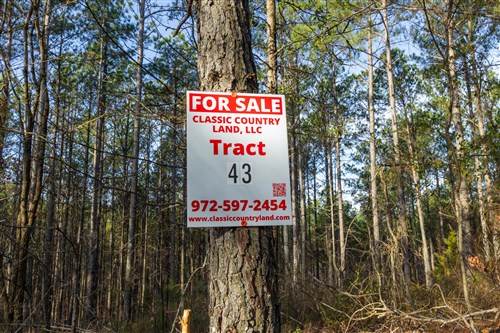 Lightning Ridge Tract 43