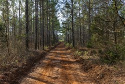 Lightning Ridge Tract 43