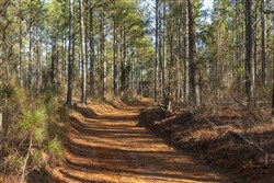 Lightning Ridge Tract 43