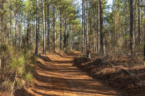 Lightning Ridge Tract 43